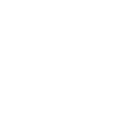 Logo_HenriNannenSchule