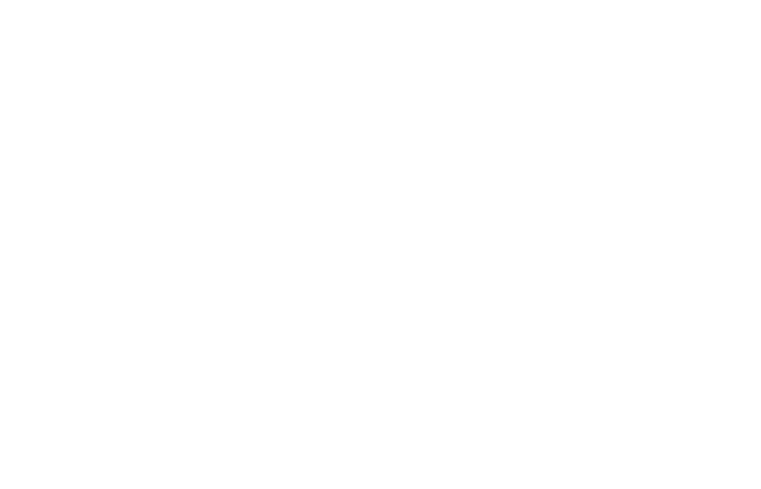 Die ZEIT Online Logo
