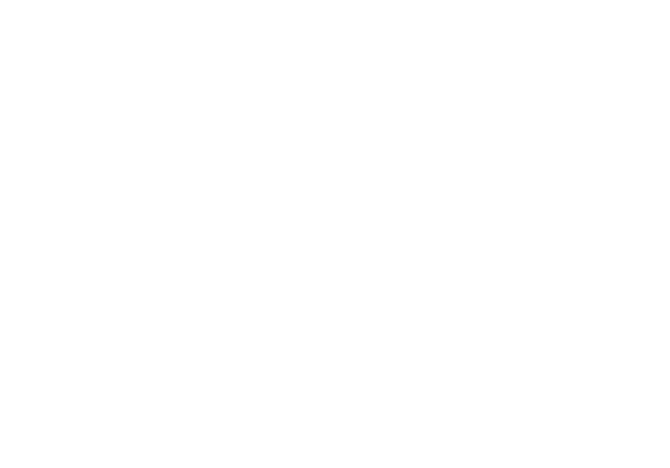 Bottalk Logo