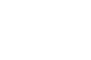 anzu Logo