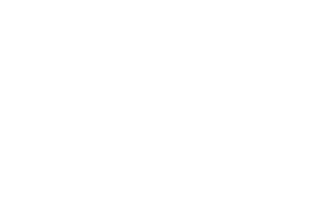 Curious Company Logo