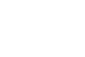 Bizzlogic Logo