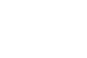 pulse advertising Logo