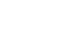 Spice VR