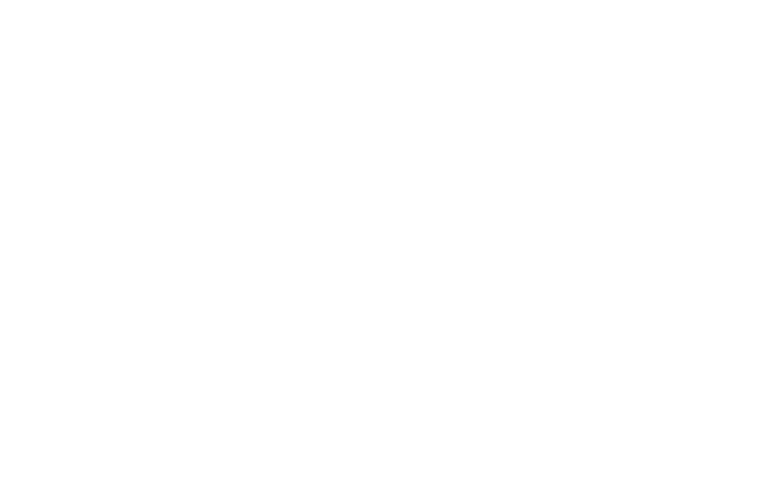 Blish Logo