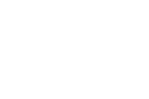 Logo Flip