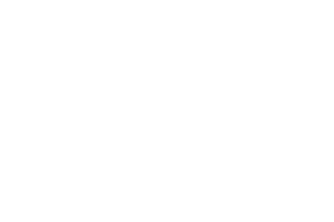 Brand eins Logo