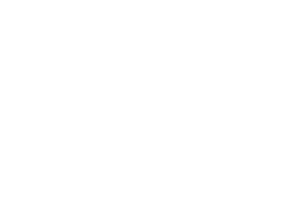 Predictions 2024